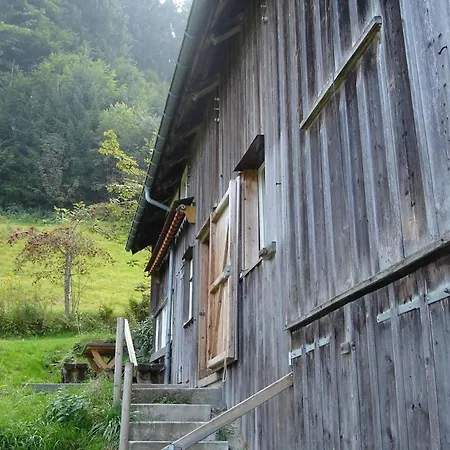 Ruchweid By Interhome Ferienhaus *